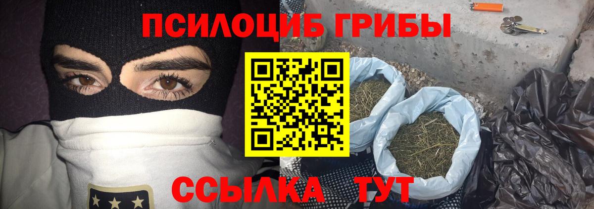 Галлюциногенные грибы Psilocybe Геленджик